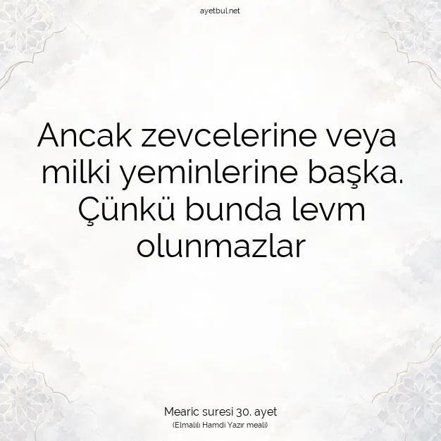 Ayetbul | Kuran Mealleri | Quran | Mearic suresi 30. ayet