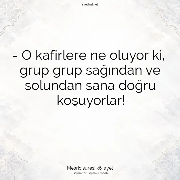Ayetbul | Kuran Mealleri | Quran | Mearic suresi 36. ayet