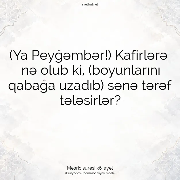 Ayetbul | Kuran Mealleri | Quran | Mearic suresi 36. ayet