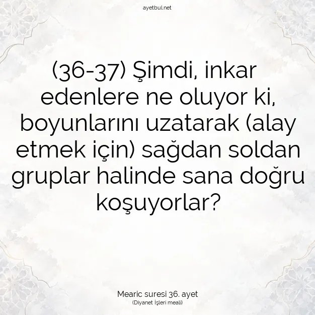 Ayetbul | Kuran Mealleri | Quran | Mearic suresi 36. ayet