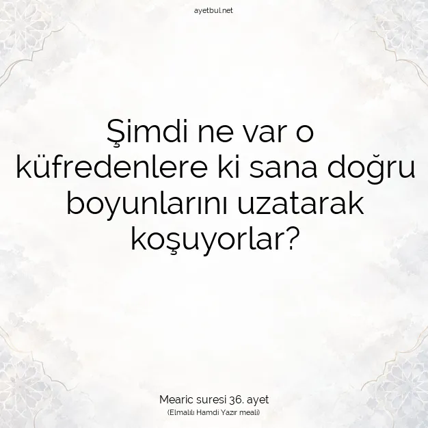 Ayetbul | Kuran Mealleri | Quran | Mearic suresi 36. ayet