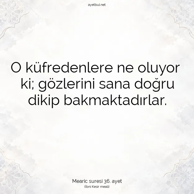 Ayetbul | Kuran Mealleri | Quran | Mearic suresi 36. ayet
