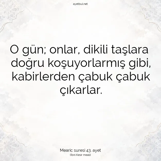 Ayetbul | Kuran Mealleri | Quran | Mearic suresi 43. ayet