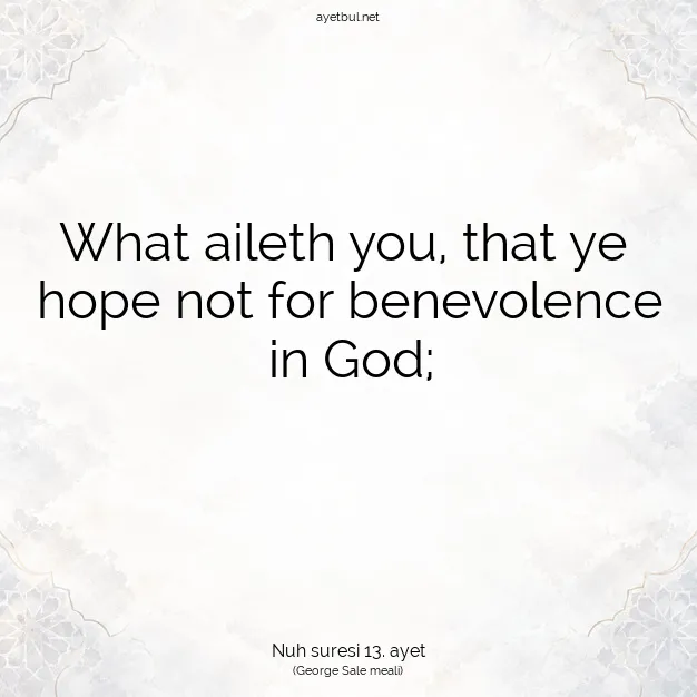 Ayetbul | Kuran Mealleri | Quran | Nuh suresi 13. ayet