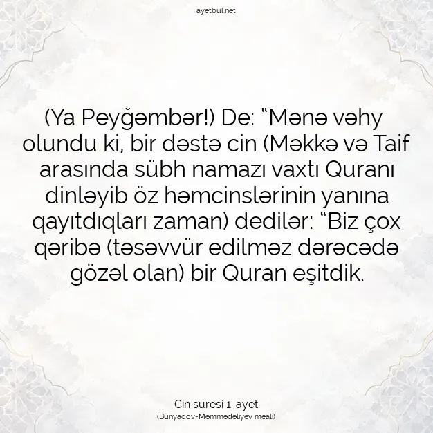 Ayetbul | Kuran Mealleri | Quran | Cin suresi 1. ayet