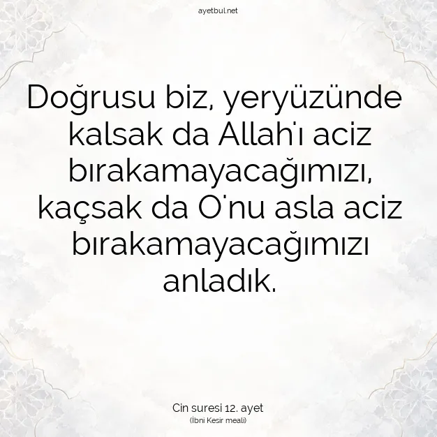 Ayetbul | Kuran Mealleri | Quran | Cin suresi 12. ayet