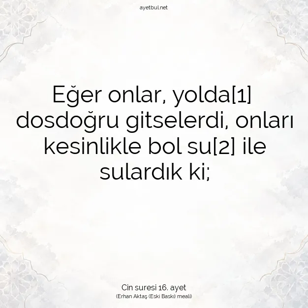 Ayetbul | Kuran Mealleri | Quran | Cin suresi 16. ayet