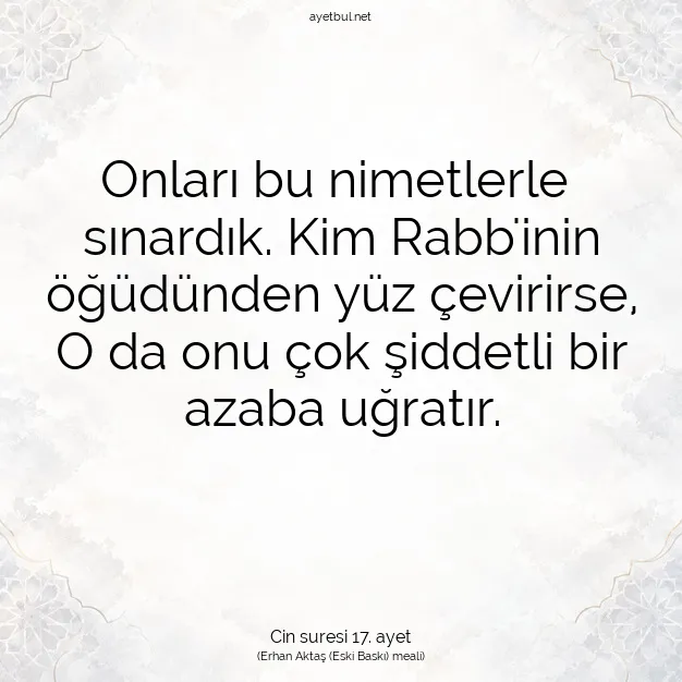 Ayetbul | Kuran Mealleri | Quran | Cin suresi 17. ayet