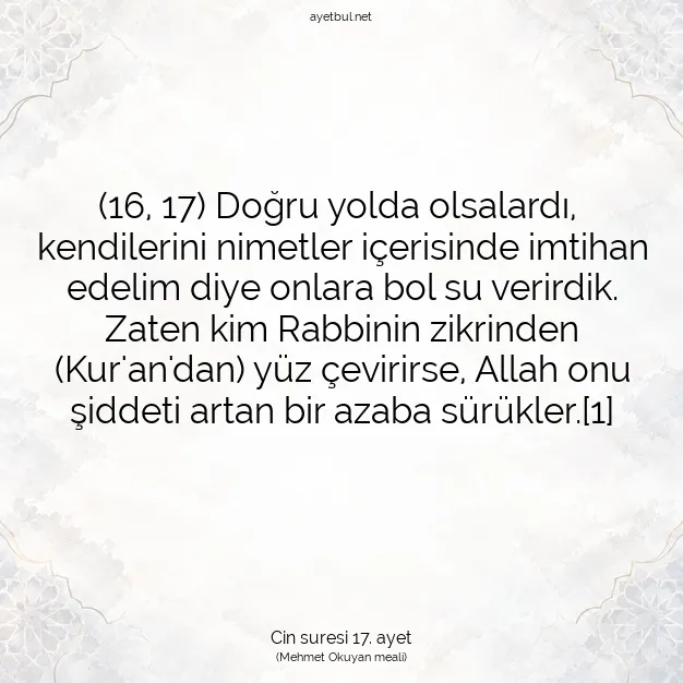 Ayetbul | Kuran Mealleri | Quran | Cin suresi 17. ayet