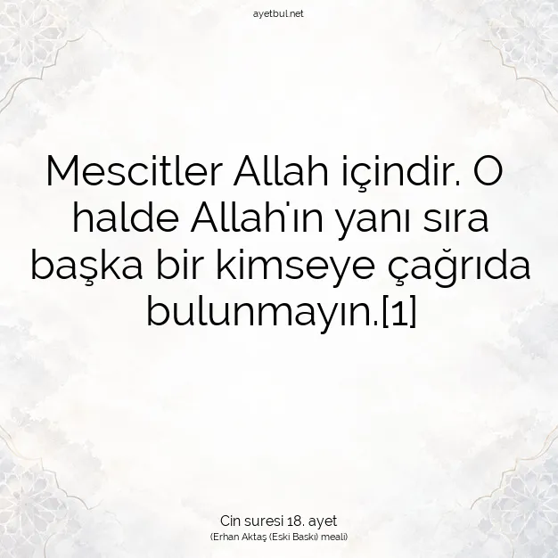 Ayetbul | Kuran Mealleri | Quran | Cin suresi 18. ayet