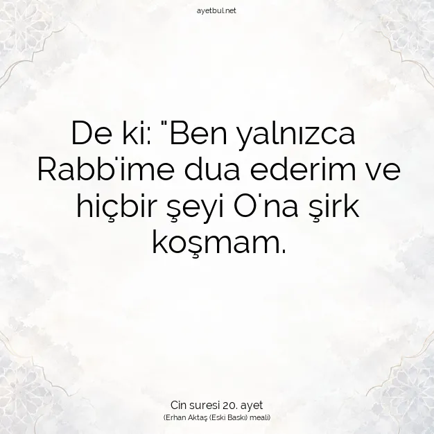 Ayetbul | Kuran Mealleri | Quran | Cin suresi 20. ayet