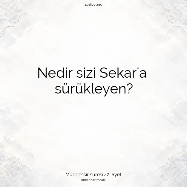Ayetbul | Kuran Mealleri | Quran | Müddessir suresi 42. ayet