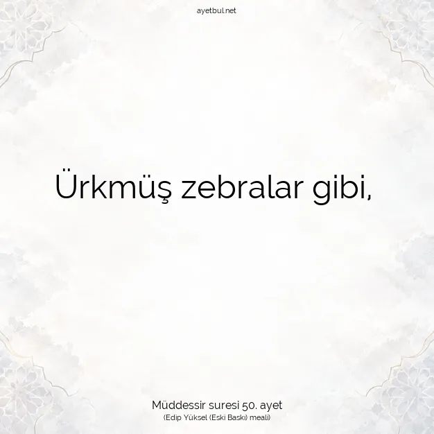 Ayetbul | Kuran Mealleri | Quran | Müddessir suresi 50. ayet