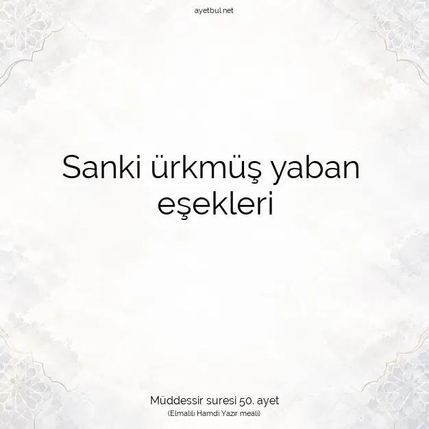 Ayetbul | Kuran Mealleri | Quran | Müddessir suresi 50. ayet