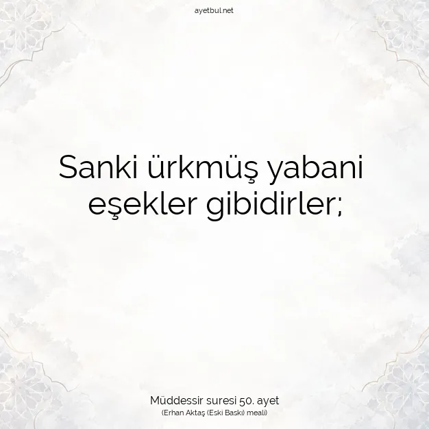 Ayetbul | Kuran Mealleri | Quran | Müddessir suresi 50. ayet