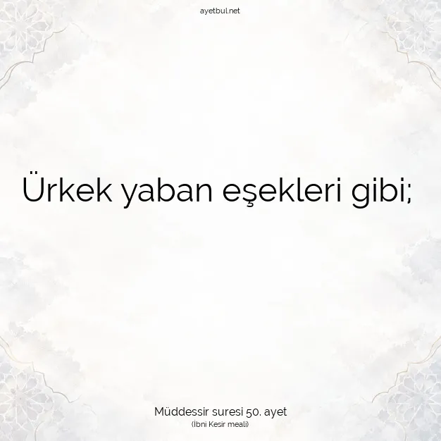 Ayetbul | Kuran Mealleri | Quran | Müddessir suresi 50. ayet