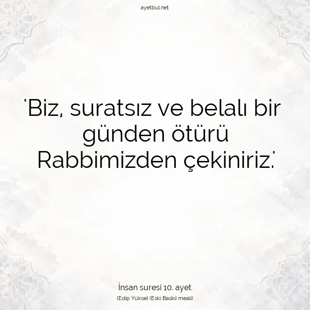 Ayetbul | Kuran Mealleri | Quran | İnsan suresi 10. ayet