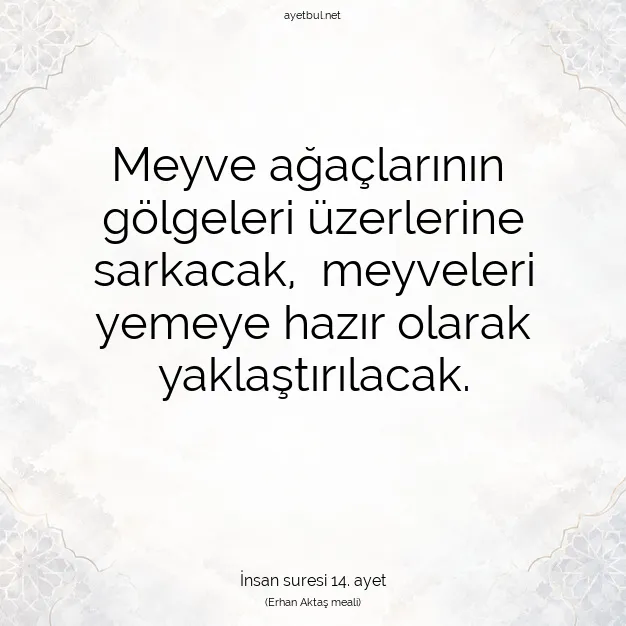 Ayetbul | Kuran Mealleri | Quran | İnsan suresi 14. ayet