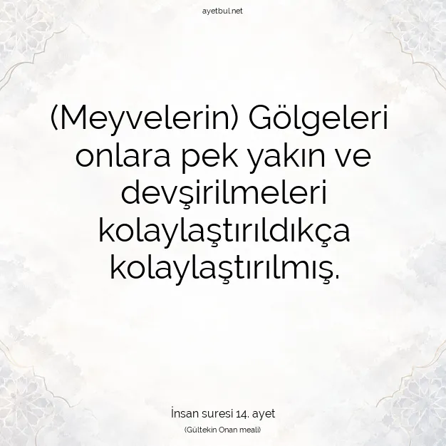 Ayetbul | Kuran Mealleri | Quran | İnsan suresi 14. ayet