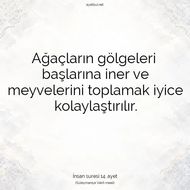 Ayetbul | Kuran Mealleri | Quran | İnsan suresi 14. ayet