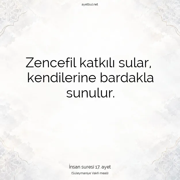 Ayetbul | Kuran Mealleri | Quran | İnsan suresi 17. ayet
