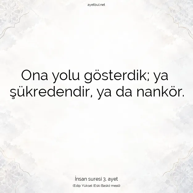 Ayetbul | Kuran Mealleri | Quran | İnsan suresi 3. ayet