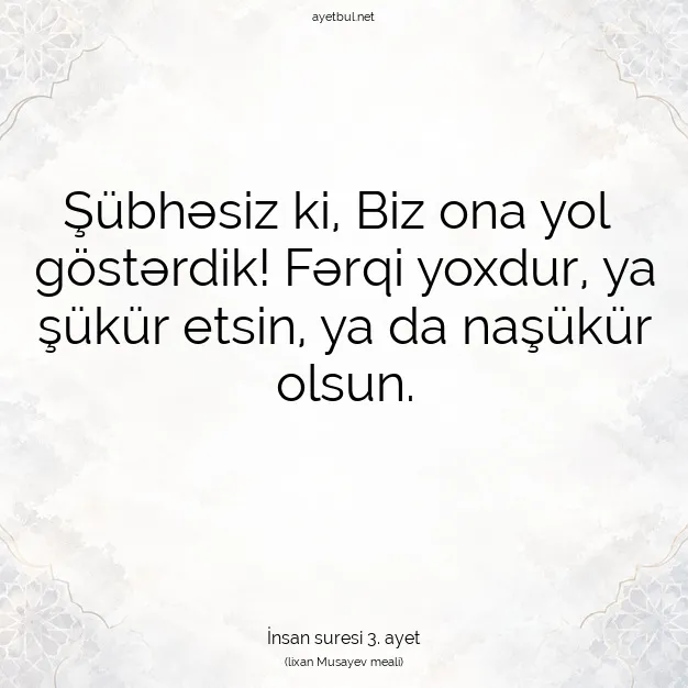 Ayetbul | Kuran Mealleri | Quran | İnsan suresi 3. ayet
