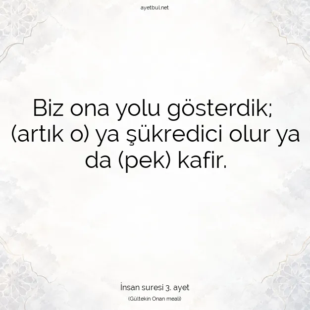 Ayetbul | Kuran Mealleri | Quran | İnsan suresi 3. ayet