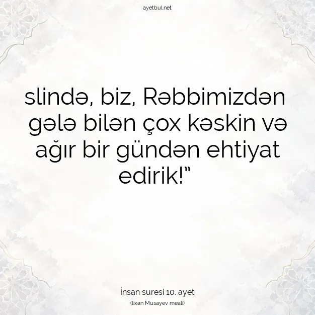 Ayetbul | Kuran Mealleri | Quran | İnsan suresi 10. ayet