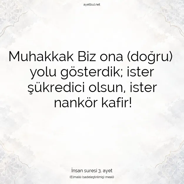 Ayetbul | Kuran Mealleri | Quran | İnsan suresi 3. ayet