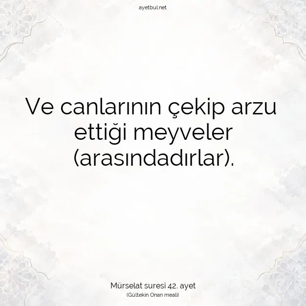 Ayetbul | Kuran Mealleri | Quran | Mürselat suresi 42. ayet