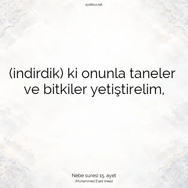 Ayetbul | Kuran Mealleri | Quran | Nebe suresi 15. ayet