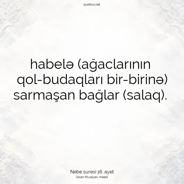 Ayetbul | Kuran Mealleri | Quran | Nebe suresi 16. ayet