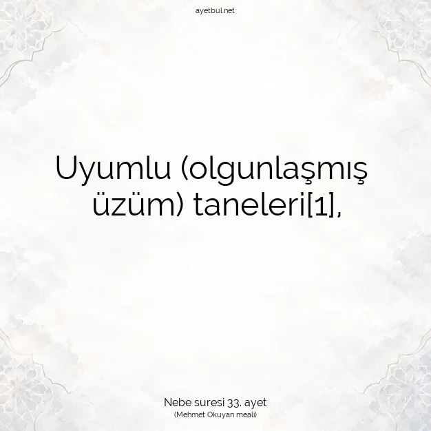 Ayetbul | Kuran Mealleri | Quran | Nebe suresi 33. ayet