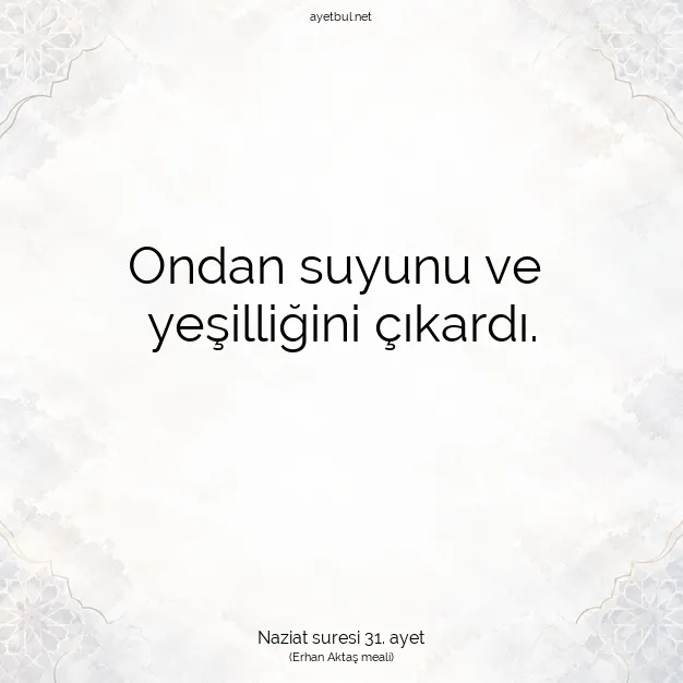Ayetbul | Kuran Mealleri | Quran | Naziat suresi 31. ayet