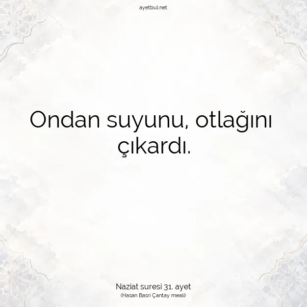 Ayetbul | Kuran Mealleri | Quran | Naziat suresi 31. ayet