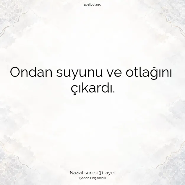 Ayetbul | Kuran Mealleri | Quran | Naziat suresi 31. ayet