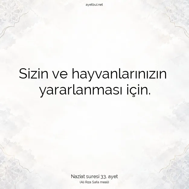 Ayetbul | Kuran Mealleri | Quran | Naziat suresi 33. ayet