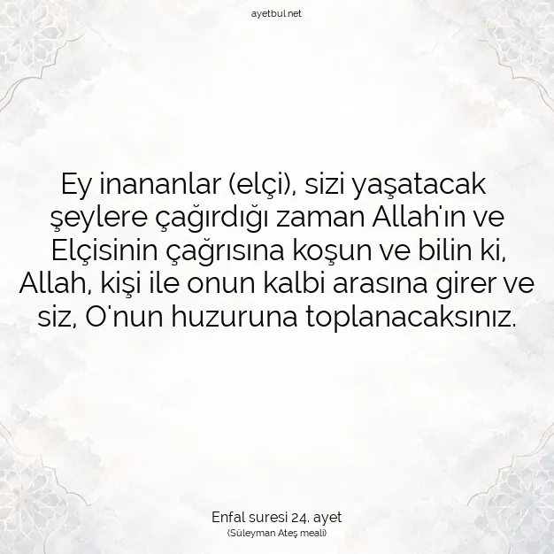 Ayetbul | Kuran Mealleri | Quran | Enfal suresi 24. ayet