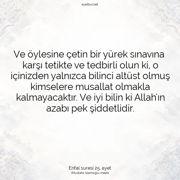 Ayetbul | Kuran Mealleri | Quran | Enfal suresi 25. ayet