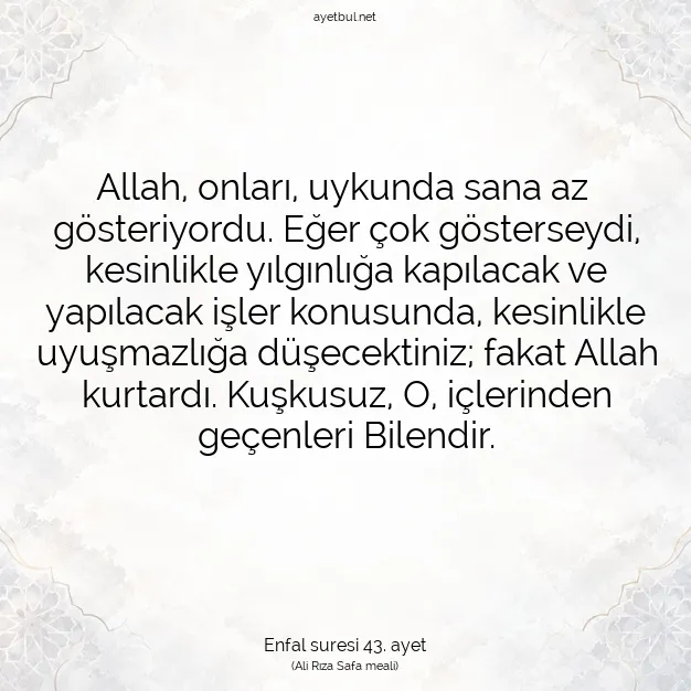 Ayetbul | Kuran Mealleri | Quran | Enfal suresi 43. ayet