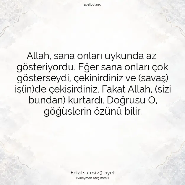 Ayetbul | Kuran Mealleri | Quran | Enfal suresi 43. ayet