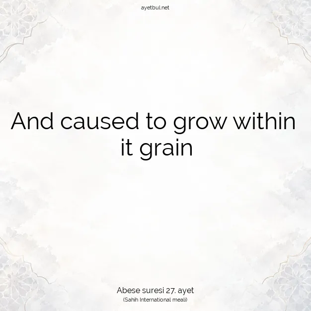 Ayetbul | Kuran Mealleri | Quran | Abese suresi 27. ayet