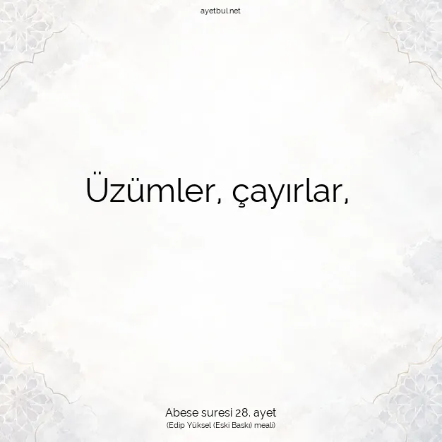 Ayetbul | Kuran Mealleri | Quran | Abese suresi 28. ayet
