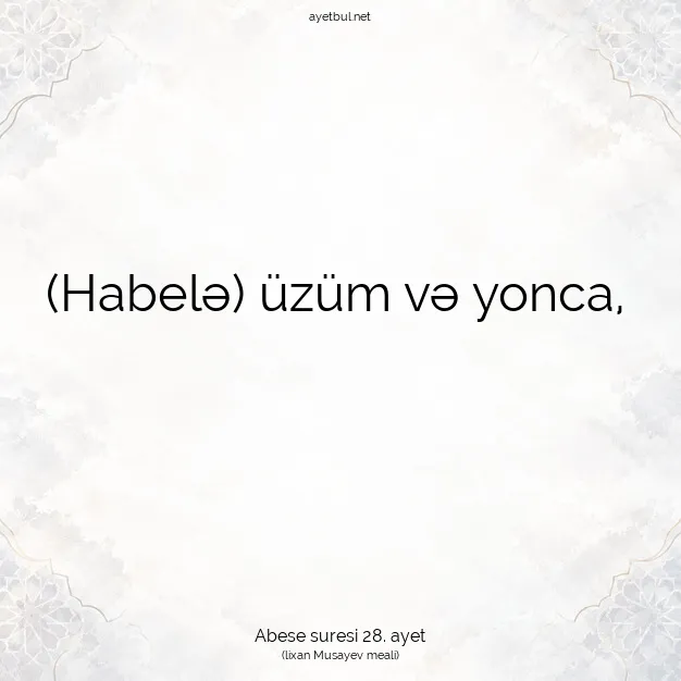 Ayetbul | Kuran Mealleri | Quran | Abese suresi 28. ayet