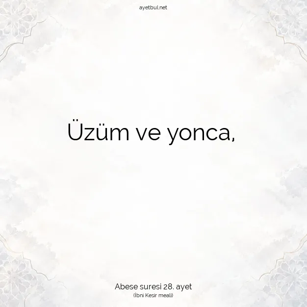 Ayetbul | Kuran Mealleri | Quran | Abese suresi 28. ayet