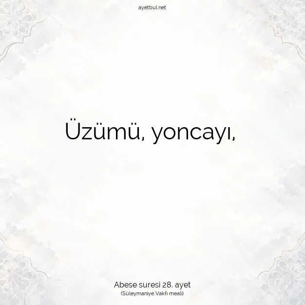 Ayetbul | Kuran Mealleri | Quran | Abese suresi 28. ayet