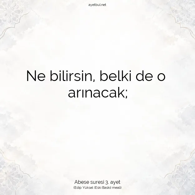 Ayetbul | Kuran Mealleri | Quran | Abese suresi 3. ayet