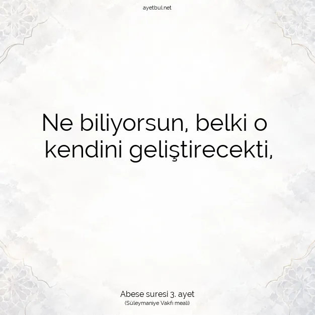 Ayetbul | Kuran Mealleri | Quran | Abese suresi 3. ayet