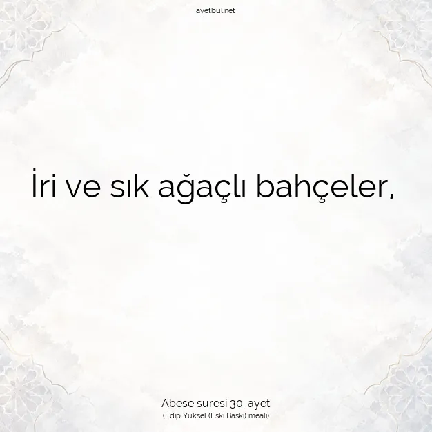 Ayetbul | Kuran Mealleri | Quran | Abese suresi 30. ayet
